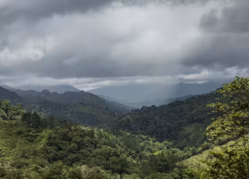 Un modelo de colaboración y compromiso: